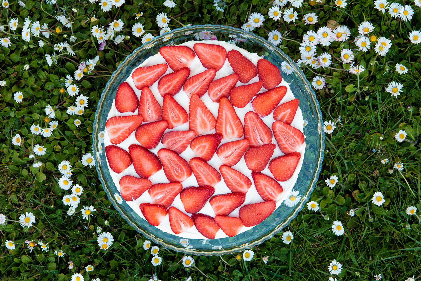 Tiramisù alle fragole