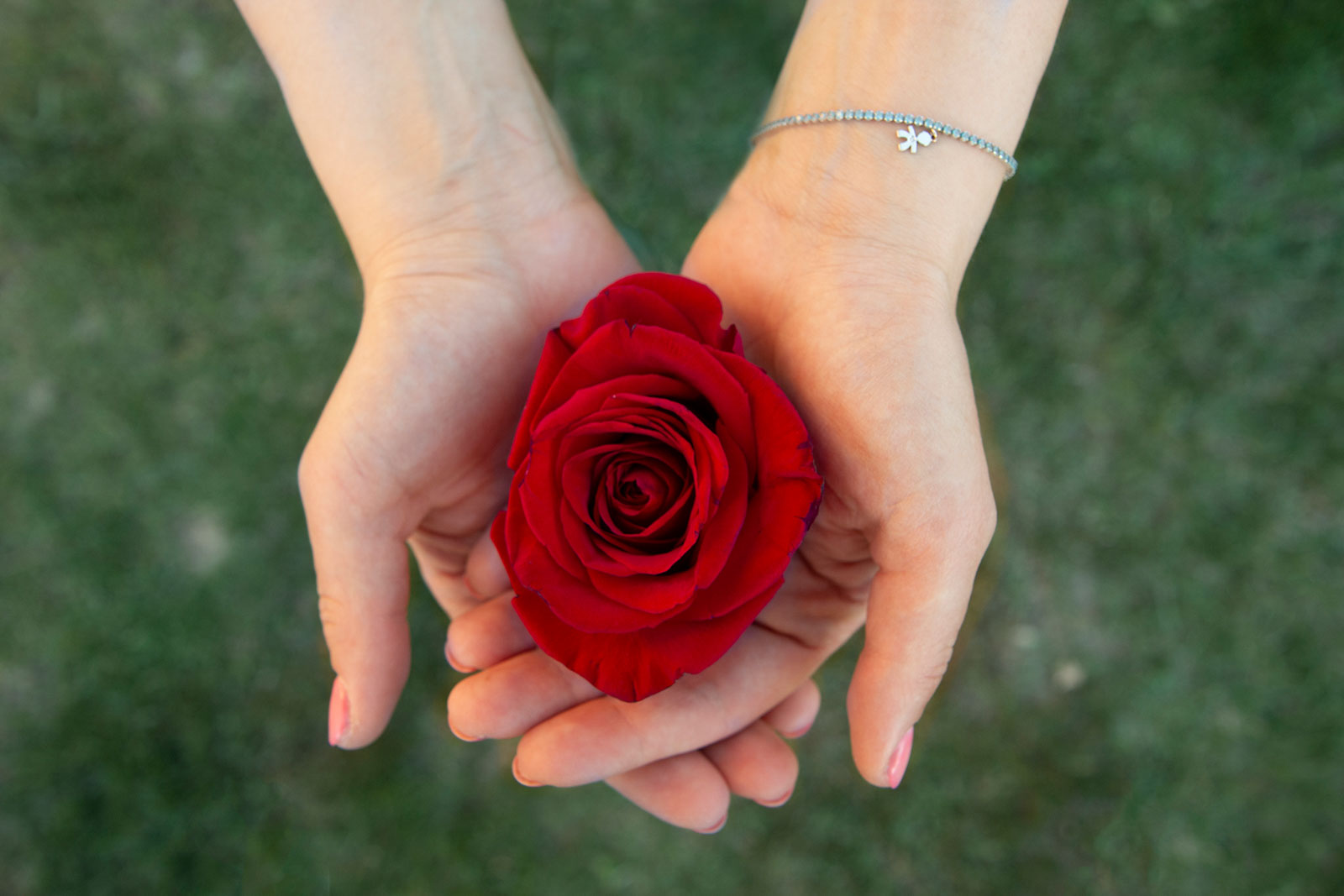 una ragazza tiene in mano una rosa rossa